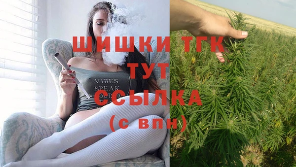 мдпв Вязьма