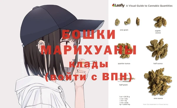мдпв Вязьма