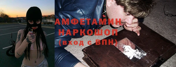 мдпв Вязьма