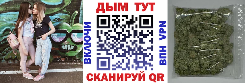 Бошки марихуана сатива  где можно купить наркотик  Рязань 
